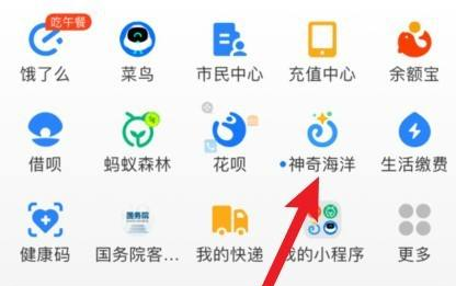 神奇海洋怎么快速升級(jí) 神奇海洋快速升級(jí)攻略方法分享