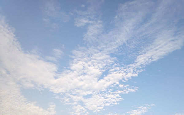 淘寶購物車抄作業怎么關閉 淘寶購物車抄作業刪除關閉設置教程