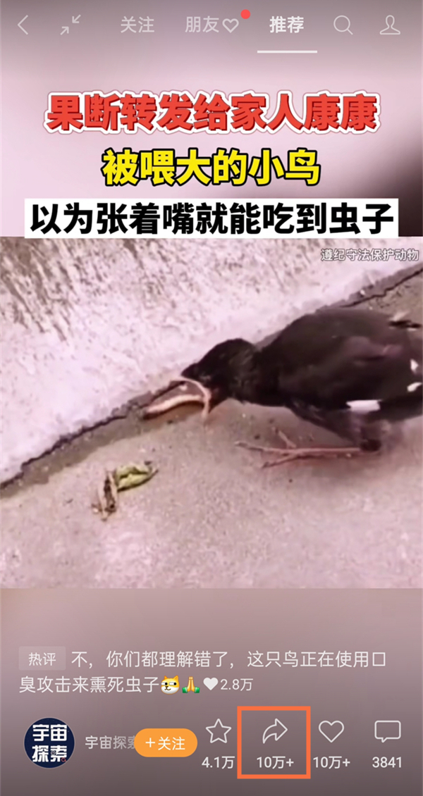 微信視頻號怎么分享鏈接