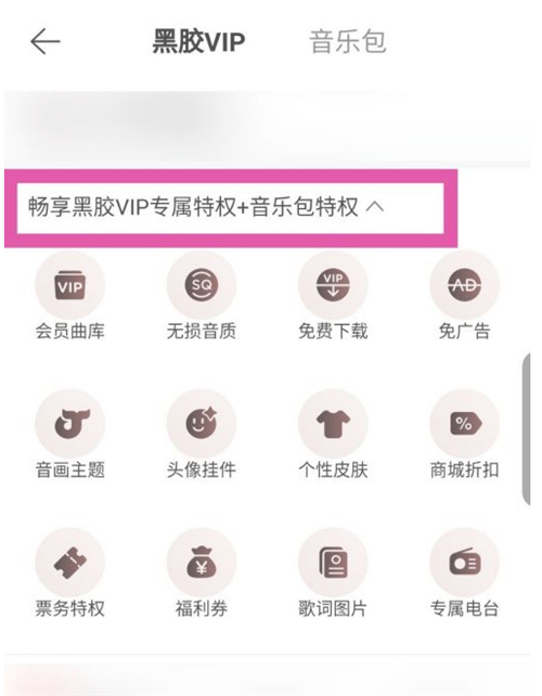 網(wǎng)易云音樂(lè)包和黑膠vip有什么區(qū)別