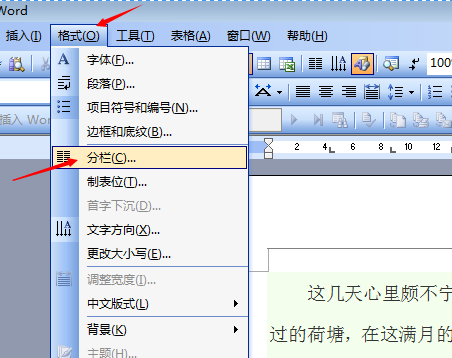 wps一分為二中間為豎虛線怎么弄?