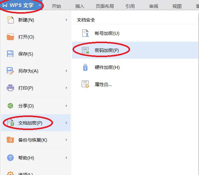 wps文檔怎么設置密碼保護?
