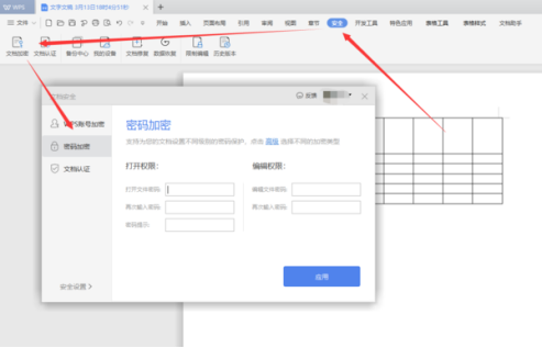 wps加密碼怎么設置?
