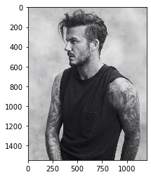 Python 數(shù)據(jù)科學(xué) Matplotlib圖庫(kù)詳解