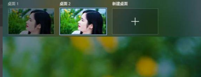 Win11怎么打開多任務窗口？Win11打開多任務窗口方法