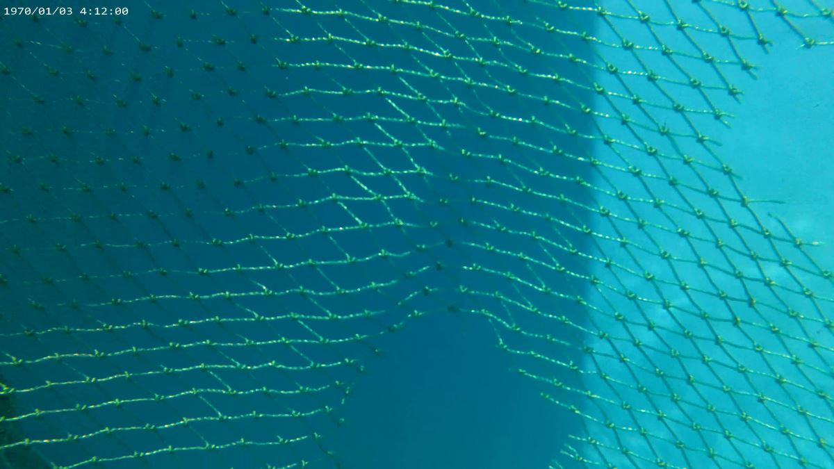 python+opencv實現視頻抽幀示例代碼