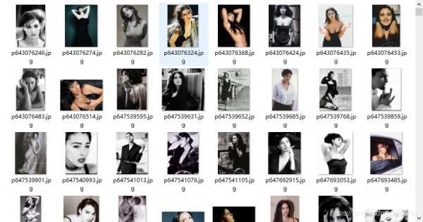 Python爬蟲實戰之使用Scrapy爬取豆瓣圖片
