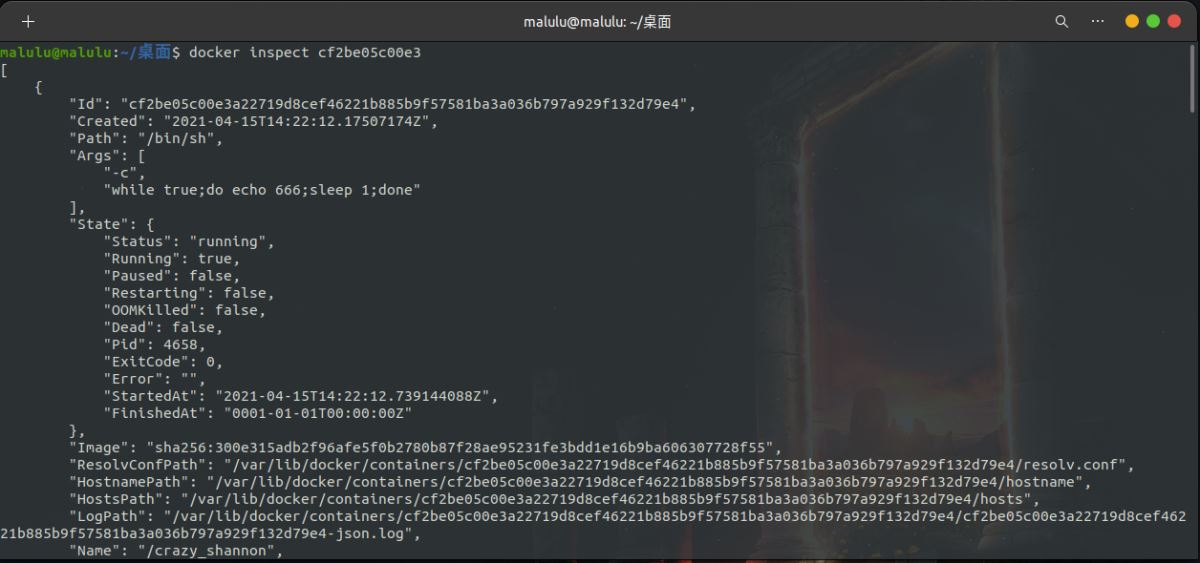 Python開發(fā)加薪利器之Docker的使用實踐