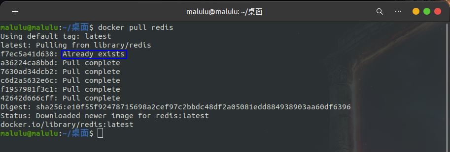 Python開發(fā)加薪利器之Docker的使用實踐