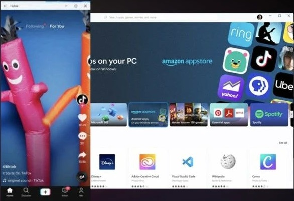 強行升級Win11后不能更新怎么辦?