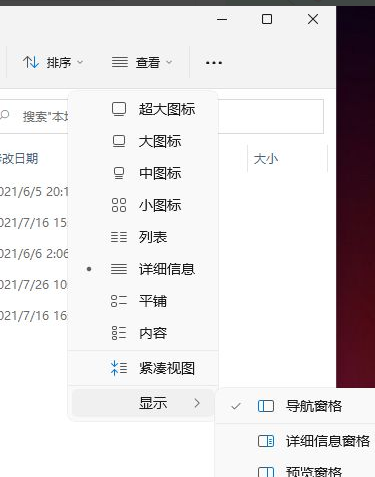 Win11怎么顯示隱藏的文件？Win11顯示隱藏文件的方法