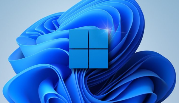 Win11如何查看隱藏項目？Win11查看隱藏項目的方法