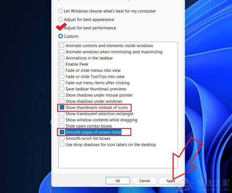 Win11如何進行優化?Win11優化性能教程