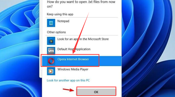 Win11如何更改默認打開方式？Win11更改默認打開方式的方法