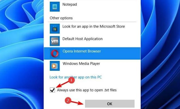 Win11如何更改默認打開方式？Win11更改默認打開方式的方法