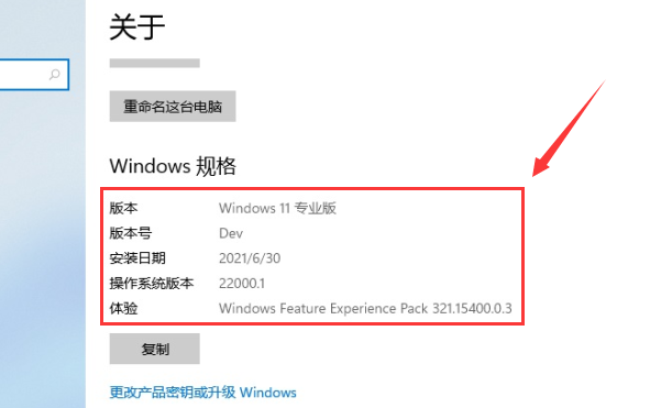 Win11系統如何查看自己的版號?Win11系統查看版號的方法