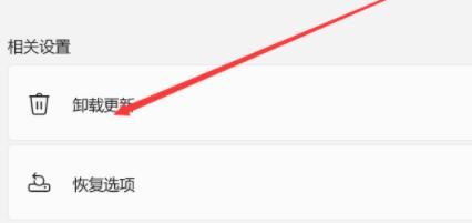 Win11資源管理器自動重啟怎么辦？Win11資源管理器自動重啟的解決方法
