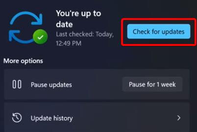 Win11更新卡在0%怎么辦？Win11更新卡在0%解決方法