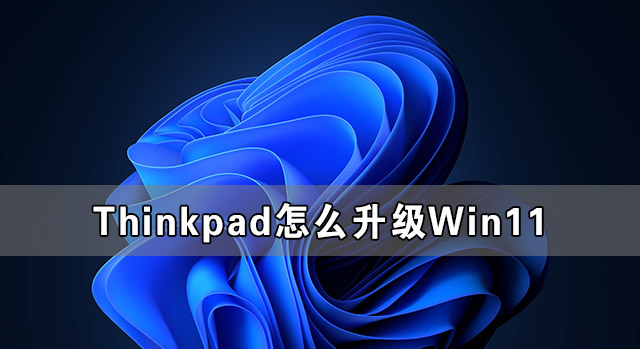 Thinkpad怎么升級Win11 Thinkpad筆記本升級Win11系統教程