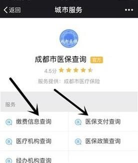 不用關(guān)注，微信直接查詢社保（醫(yī)保）余額/繳費(fèi)