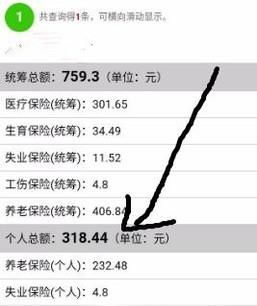 不用關(guān)注，微信直接查詢社保（醫(yī)保）余額/繳費(fèi)