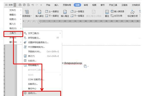 WPS/Word如何去除煩人的波浪線？兩步輕松去掉WPS/Word波浪線