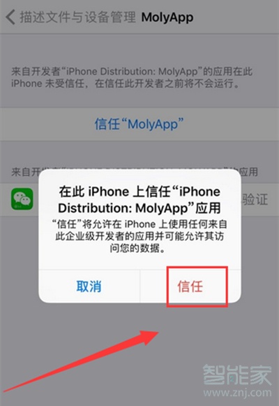 蘋果12pro max可以微信分身嗎