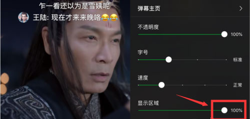 愛奇藝怎么設置彈幕顯示區域?6個步驟讓你輕松設置彈幕區域!