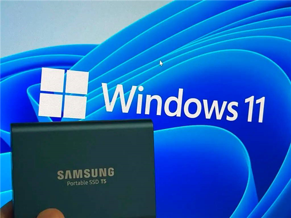 怎么在Windows11中備份文件并降級回Windows10?