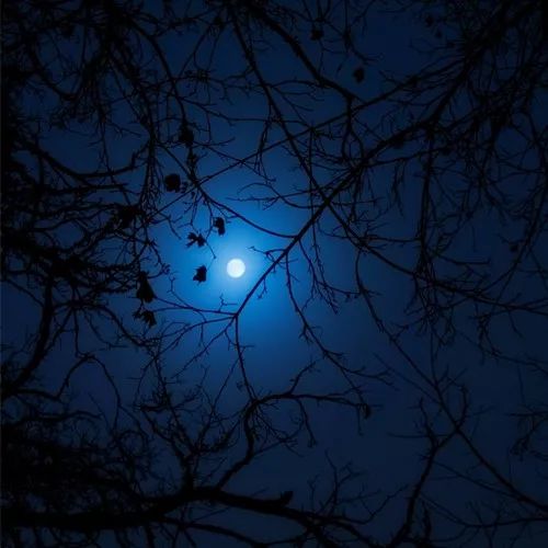 2020最流行微信頭像：成熟穩重的男生頭像大全！