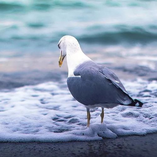 2020最流行微信頭像：成熟穩重的男生頭像大全！