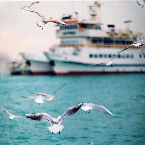 2020年最流行的微信頭像！美美噠的頭像趕緊換起來！