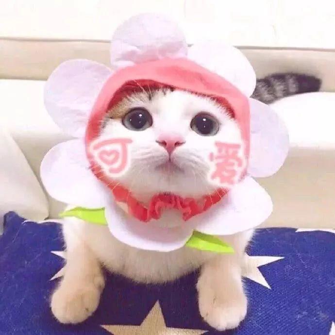 2020抖音最火的情侶頭像!超甜蜜,狂撒狗糧!