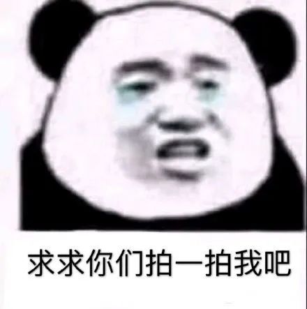 微信拍一拍可以加后綴嗎？當然！創意搞笑后綴弄起來！