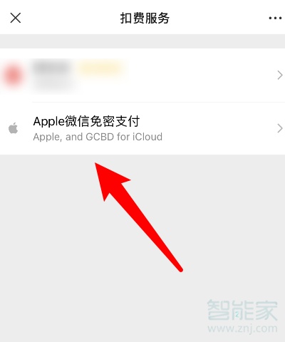 蘋果微信免密支付怎么取消