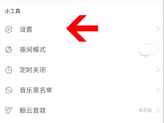 蘋果手機網易云怎么設置桌面歌詞
