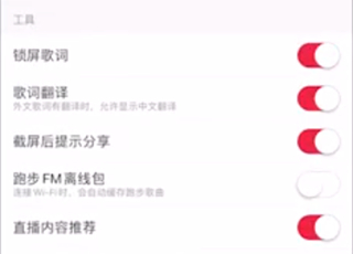 蘋果手機網易云怎么設置桌面歌詞