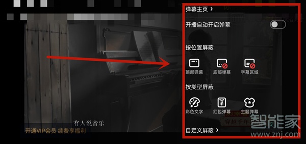 愛奇藝字幕設(shè)置在哪里