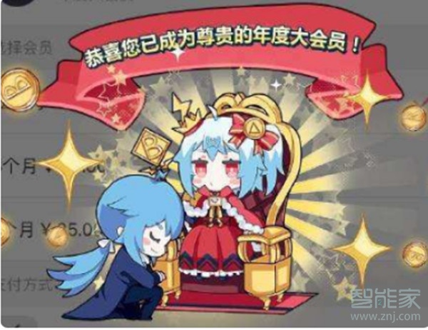 嗶哩嗶哩會員可以多人使用嗎