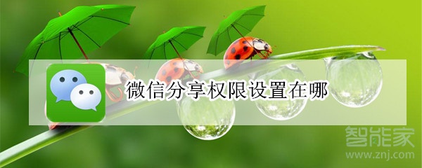 微信分享權(quán)限設(shè)置在哪