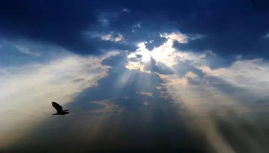 2021年5月17日支付寶螞蟻莊園答案！螞蟻莊園小課堂5.17今日最新答案