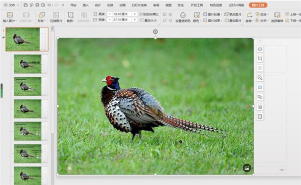 怎么更改PPT母版背景圖片?PPT母版背景圖片修改教程