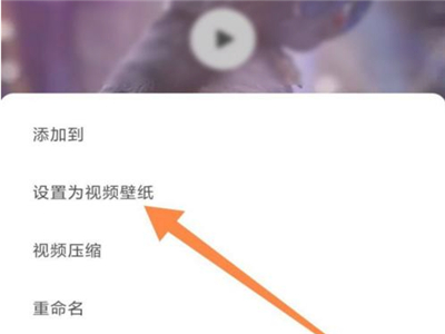 小紅書怎么設置動態壁紙