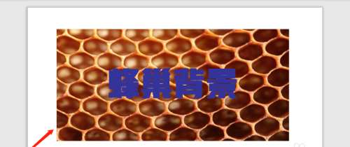 WPS怎么將字體的背景設(shè)置為蜂巢?