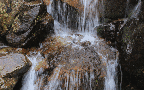 2021年5月3日支付寶螞蟻莊園答案是什么？螞蟻莊園小課堂5.3今日最新答案