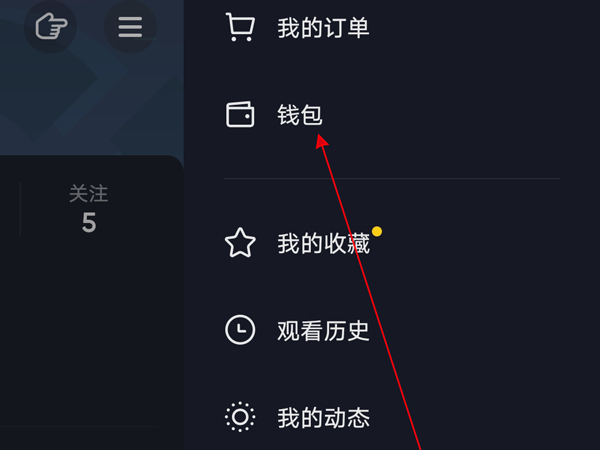 抖音紅包在哪里查