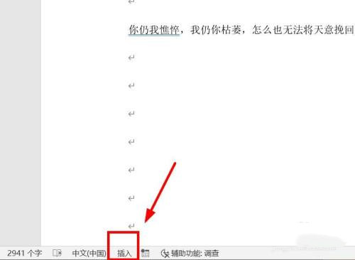 WPS文檔編輯時吞字怎么辦？