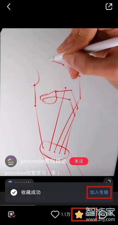 小紅書的贊過是僅自己可見嗎