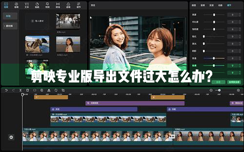 剪映Windows專業電腦版視頻導出文件太大了怎么解決？