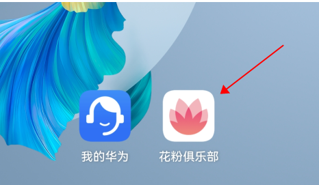 花粉俱樂部怎樣申請鴻蒙內測?花粉俱樂部鴻蒙內測申請步驟